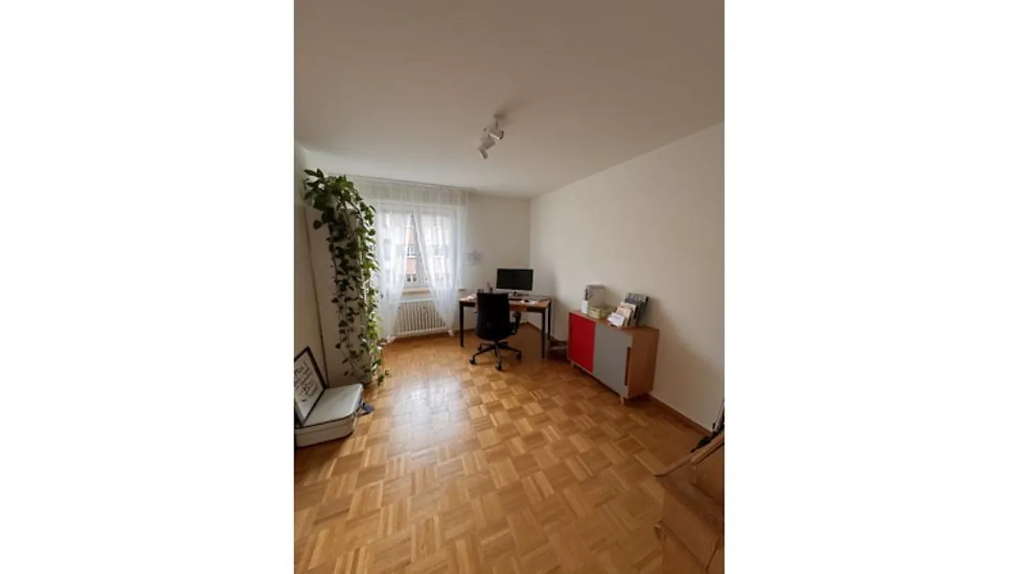 3 ROOM APARTMENT IN HÜNIBACH (BE), FURNISHED, TEMPORARY - Photo 2 of 9
