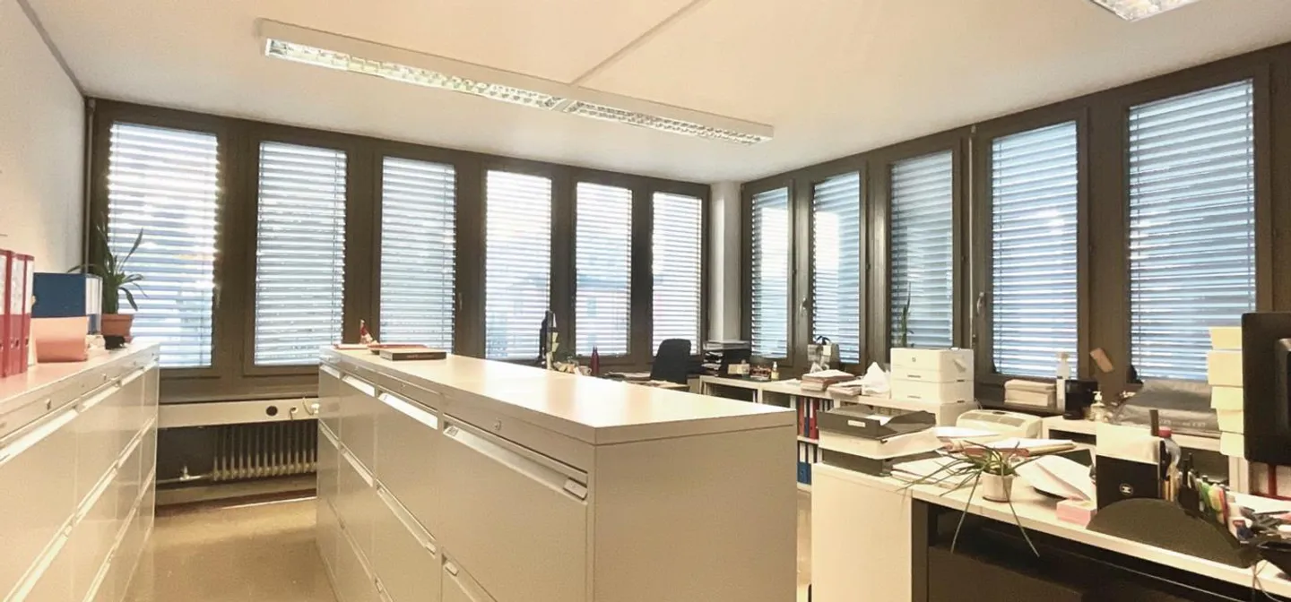 Proprietà commerciale a Lugano - Foto 2 di 7