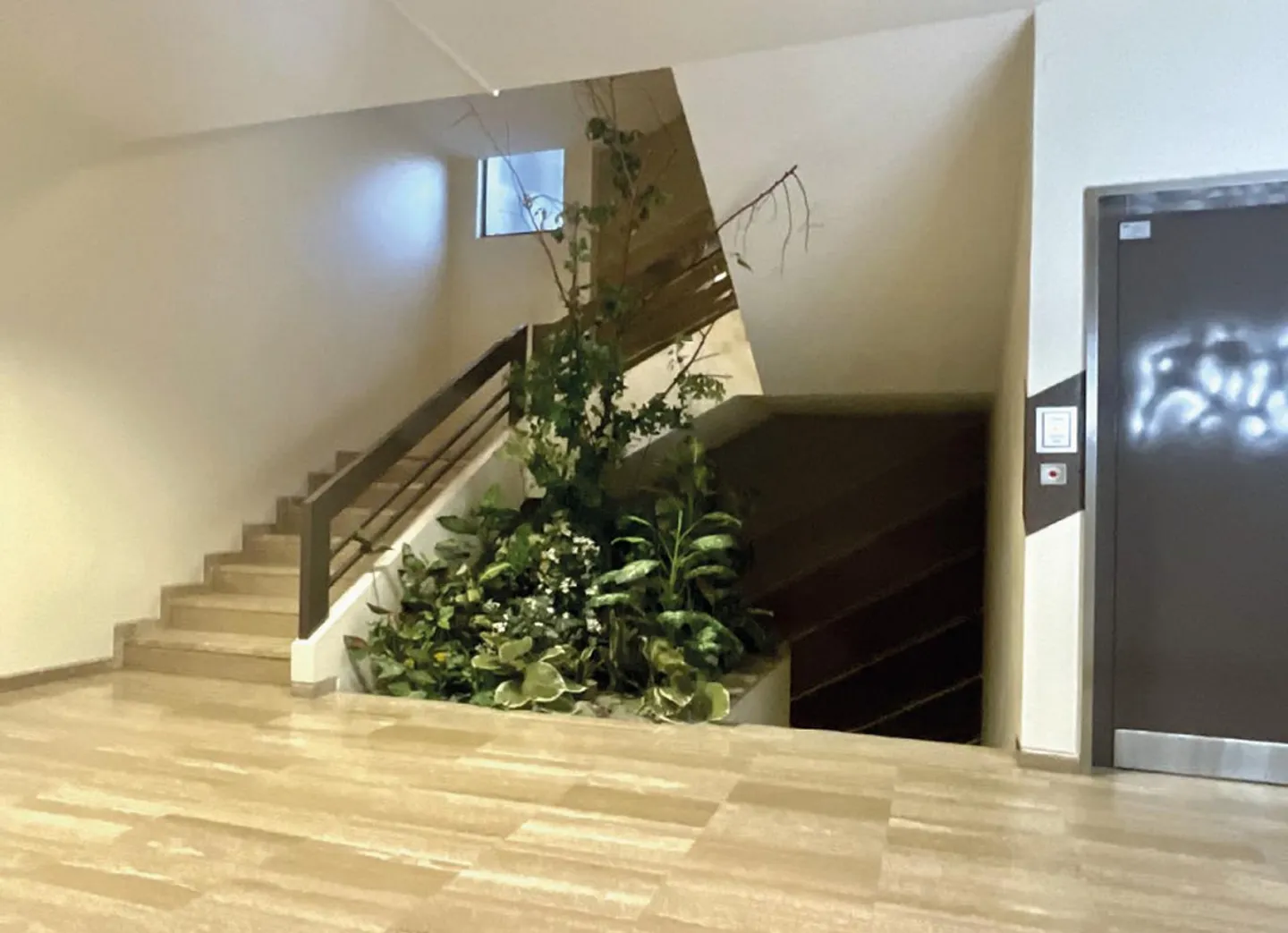 Proprietà commerciale a Lugano - Foto 7 di 7