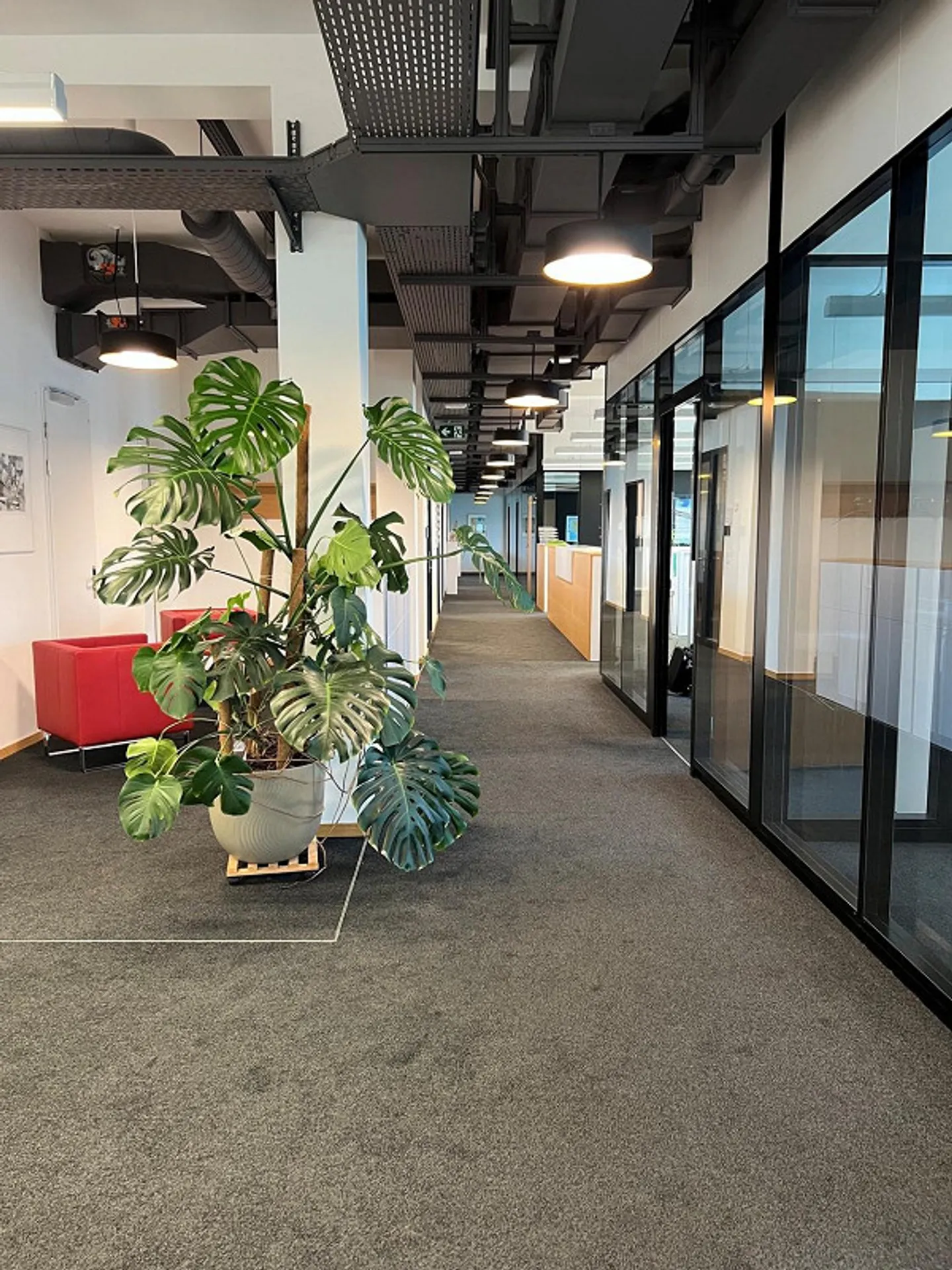 Zentrales Büro in Winterthur - Foto 6 von 9