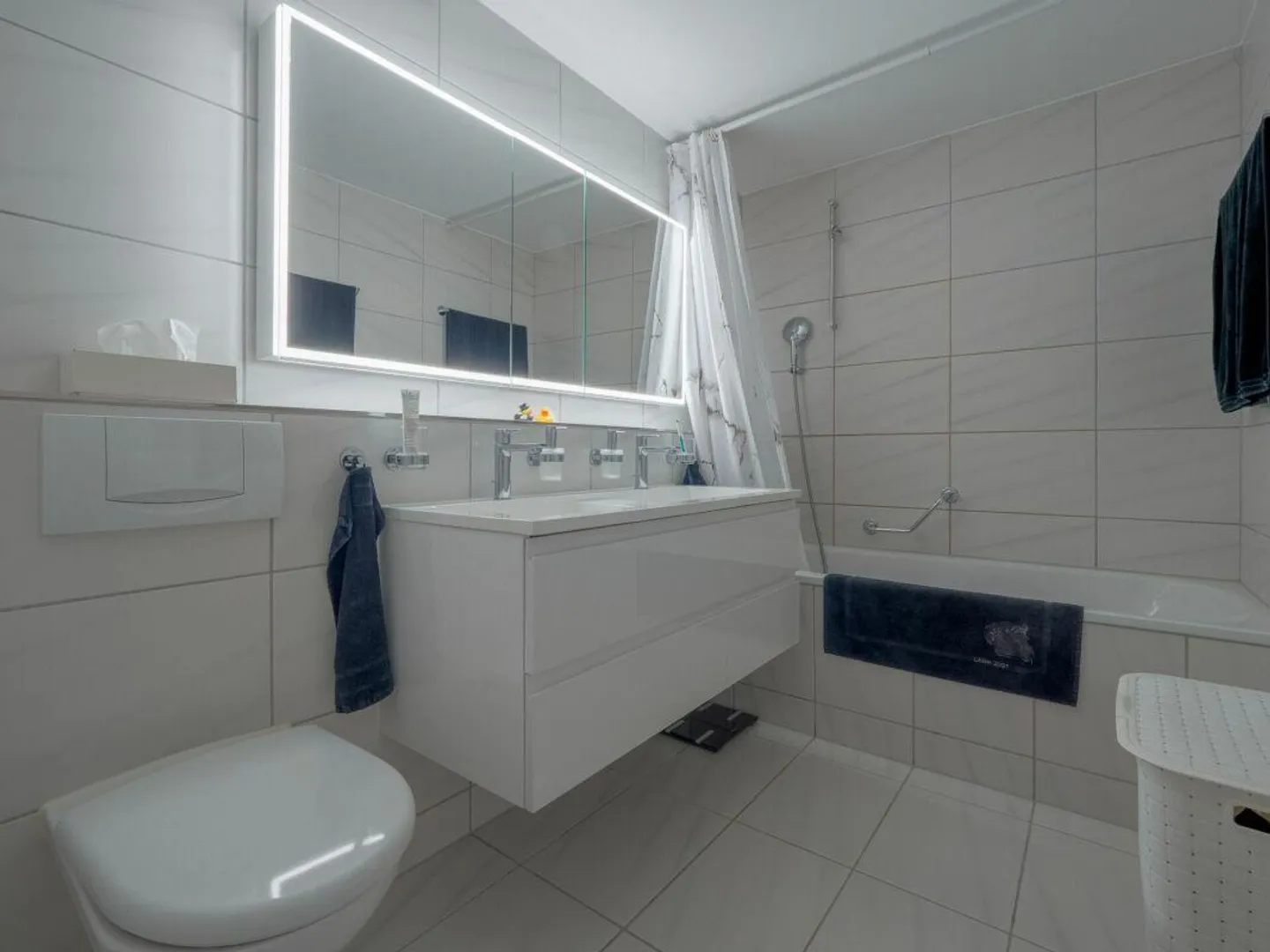 Bright 4.5 Room Attic Maisonette Apartment incl. 1 Parking Space - Photo 7 of 12