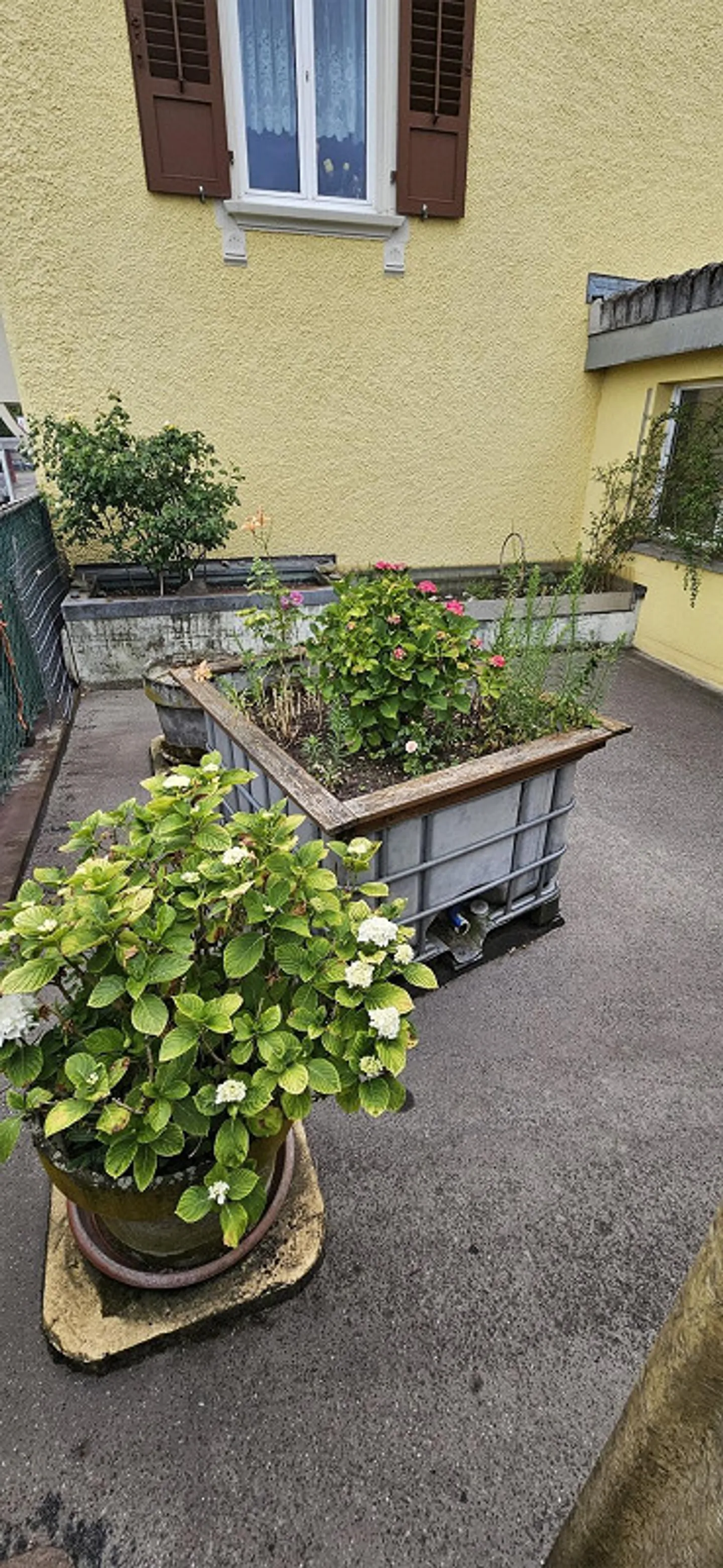 Charmante Wohnung in Wittenbach - Foto 13 von 13