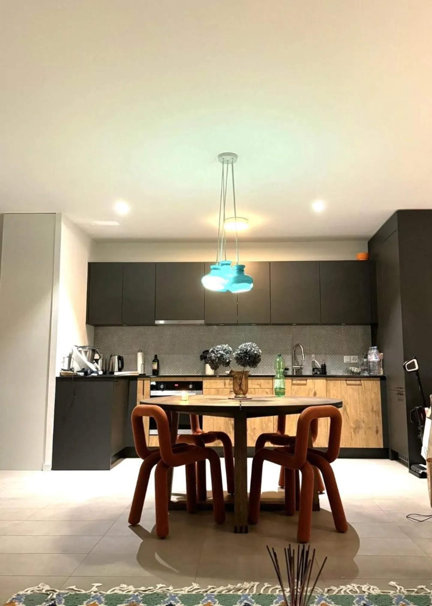 Modern Apartment with Garden Access - Photo 3 of 6