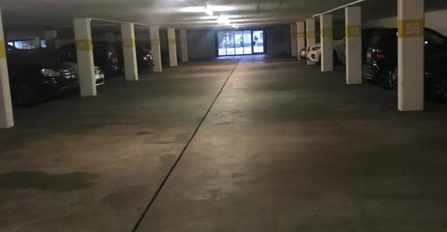 Posti auto - Proteggi la tua auto dal polline! - Foto 4 di 4