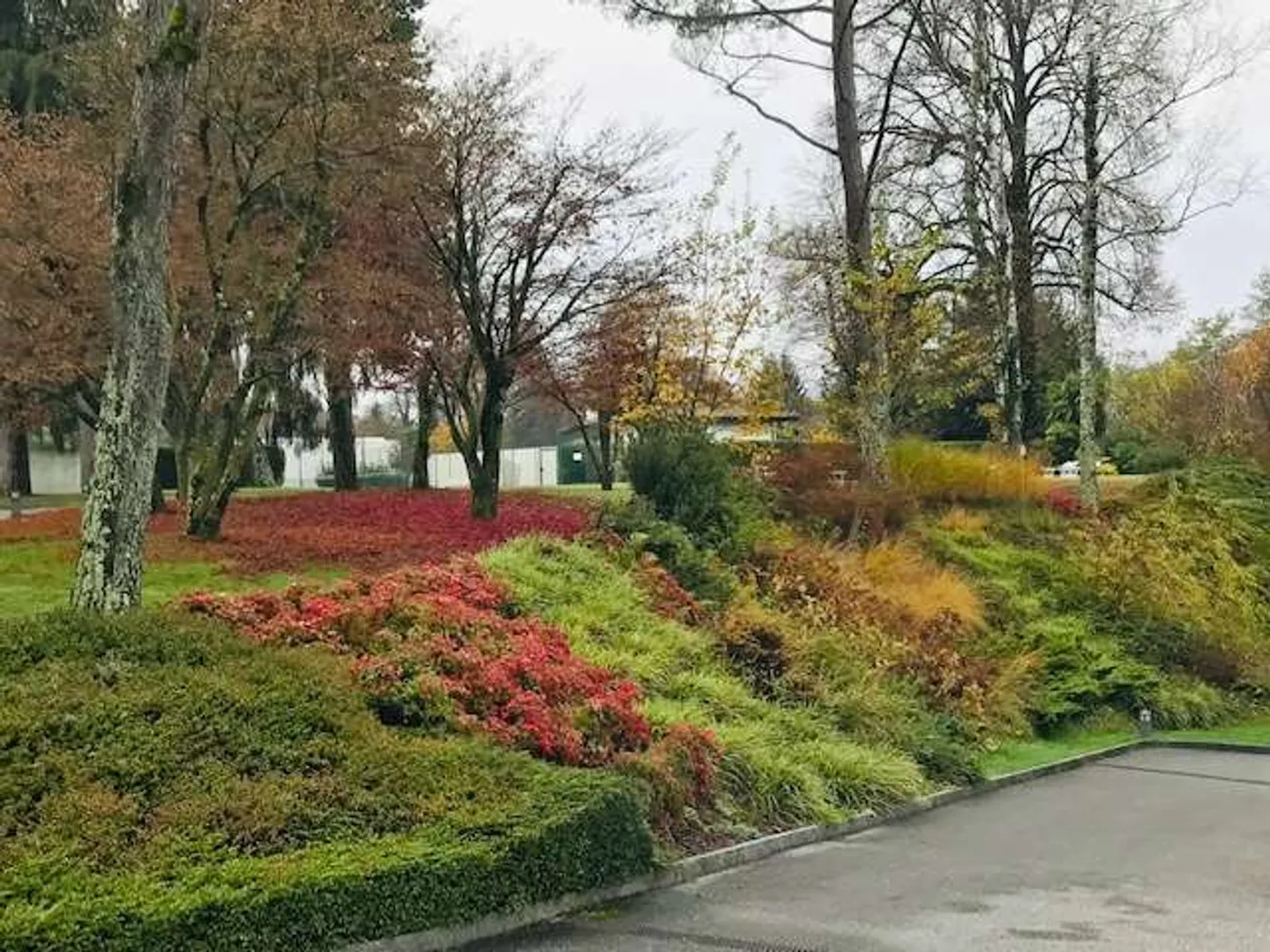 Attico in affitto - Foto 25 di 26