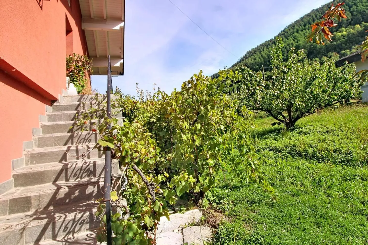 Einfamilienhaus kaufen - Foto 13 von 16