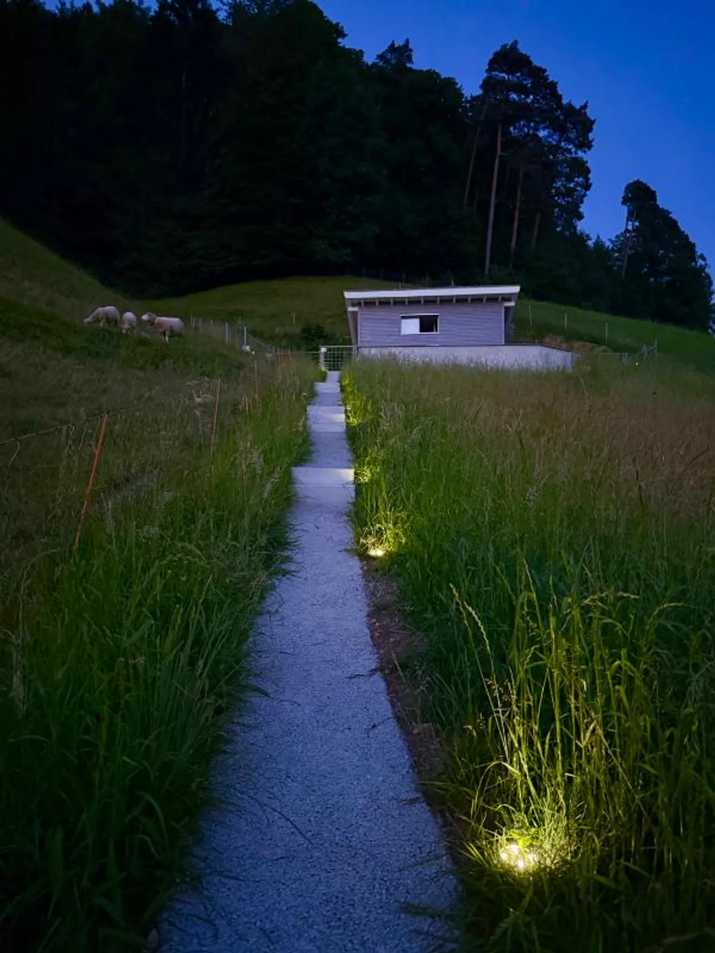 Maison individuelle de 2,5 pièces - Photo 5 sur 5