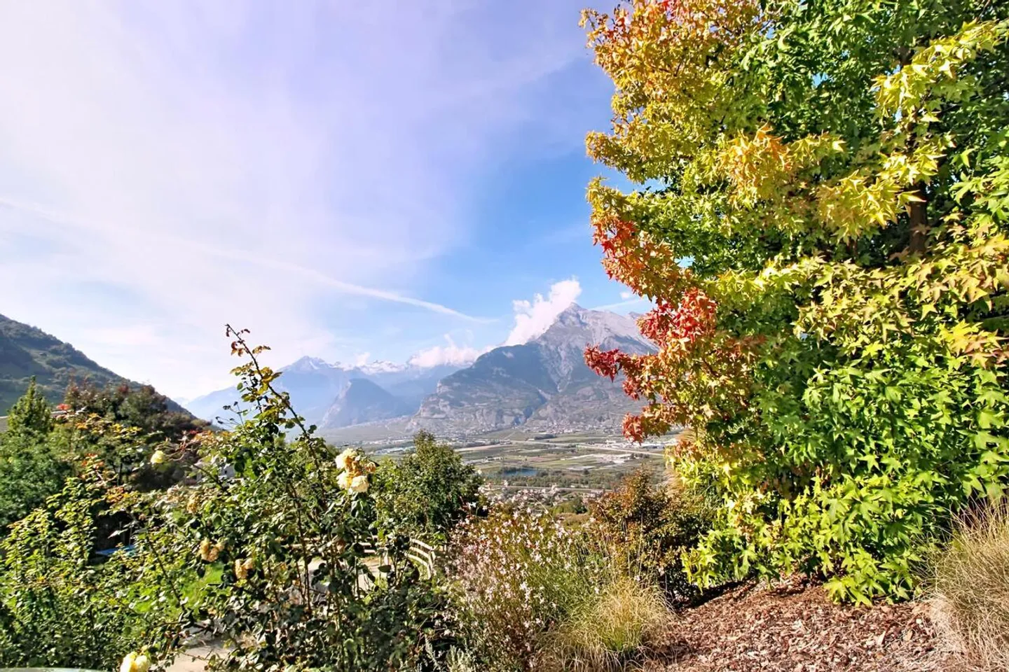 Einfamilienhaus kaufen - Foto 16 von 16