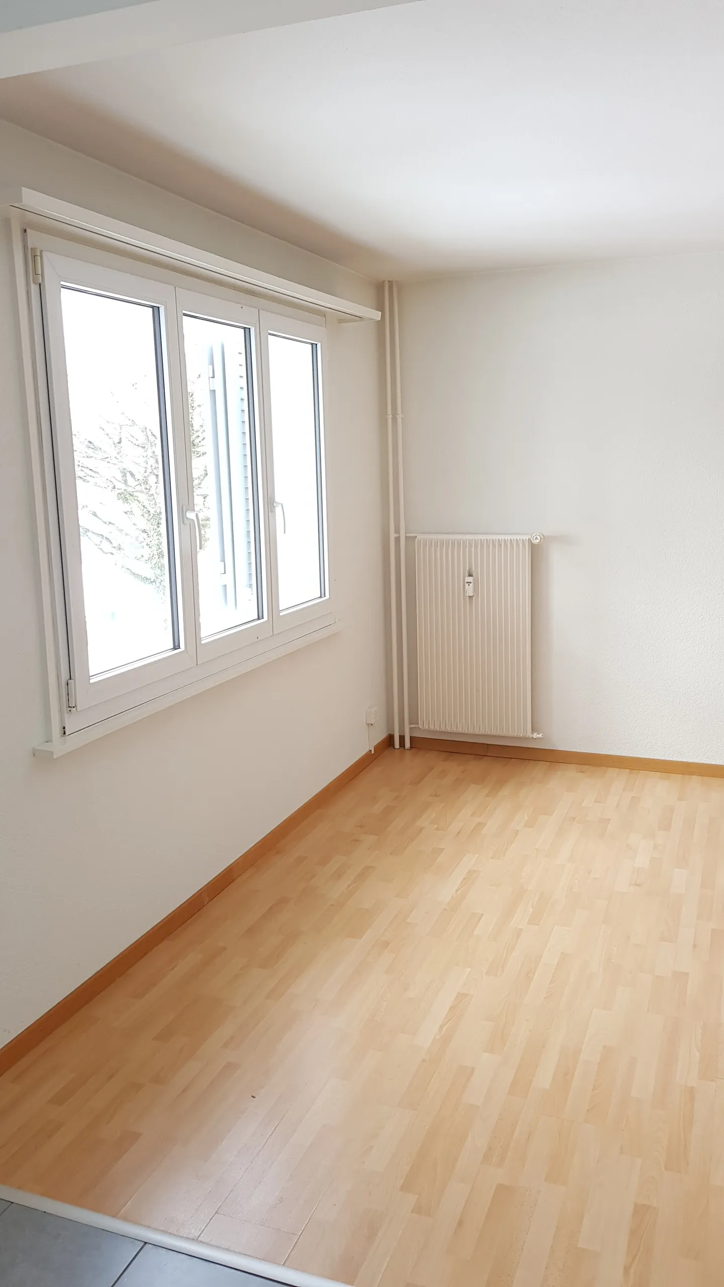 3 Room Apartment - Photo 3 of 4