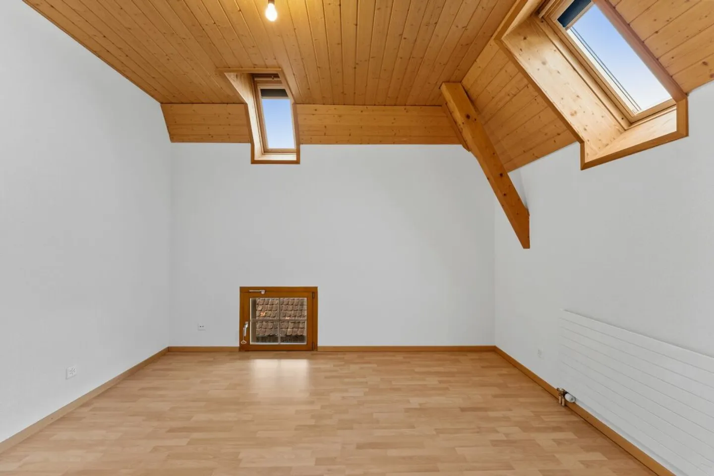 Two-family house / single-family house with apartment - Photo 17 of 30