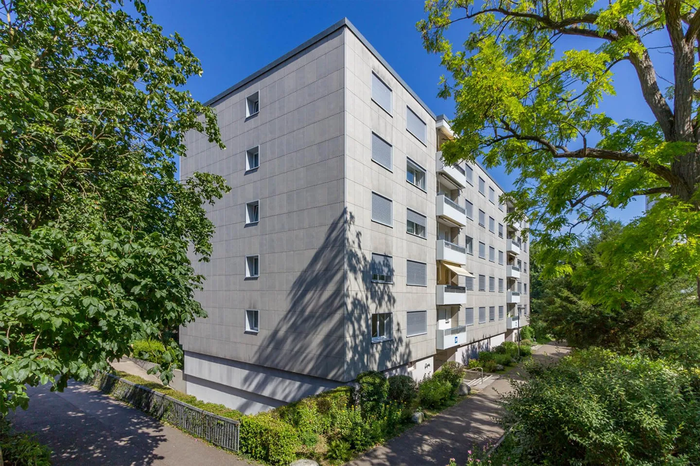 Vivre dans la verdure - Photo 1 sur 9