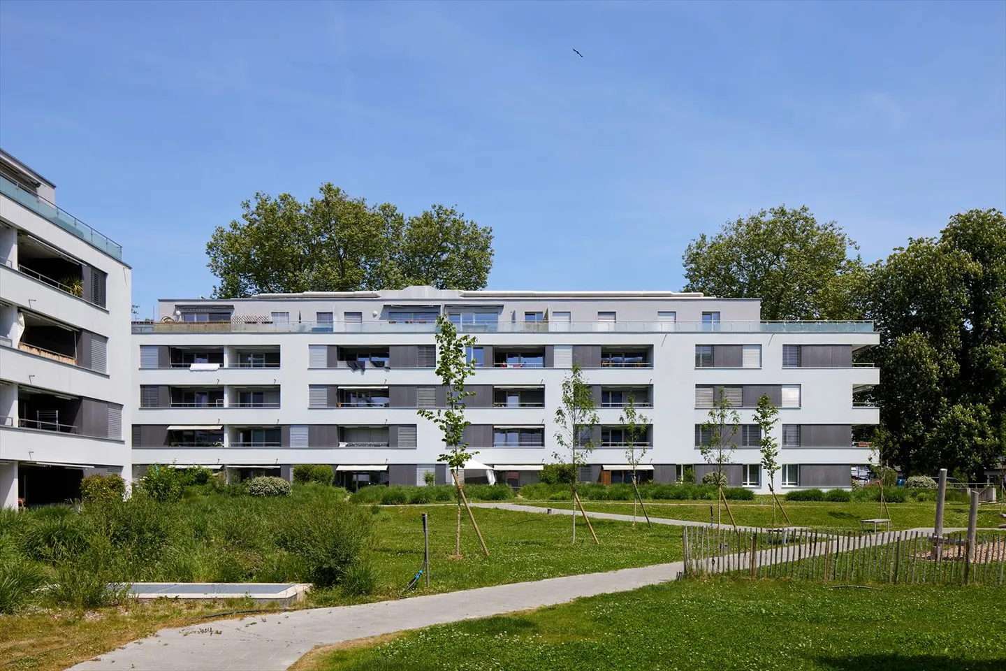 2.5 Room Apartment - Photo 4 of 4