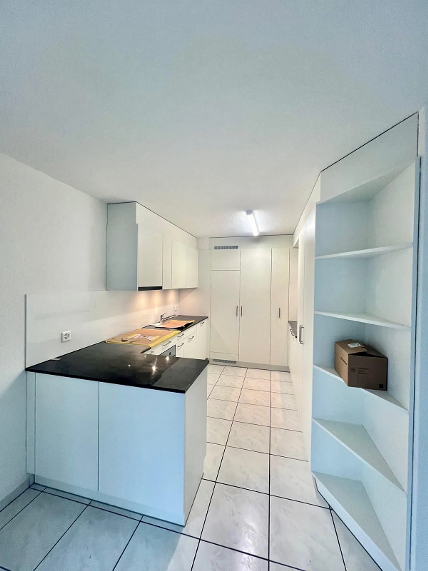 Freshly renovated 3.5-room penthouse apartment with huge sun terrace - Photo 4 of 8