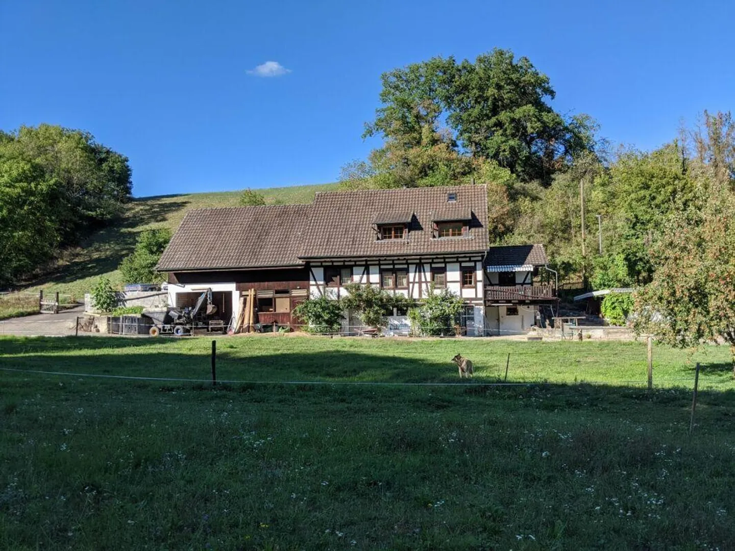 Beuernhaus with Recreation Area for Equestrian Sports - Photo 3 of 30