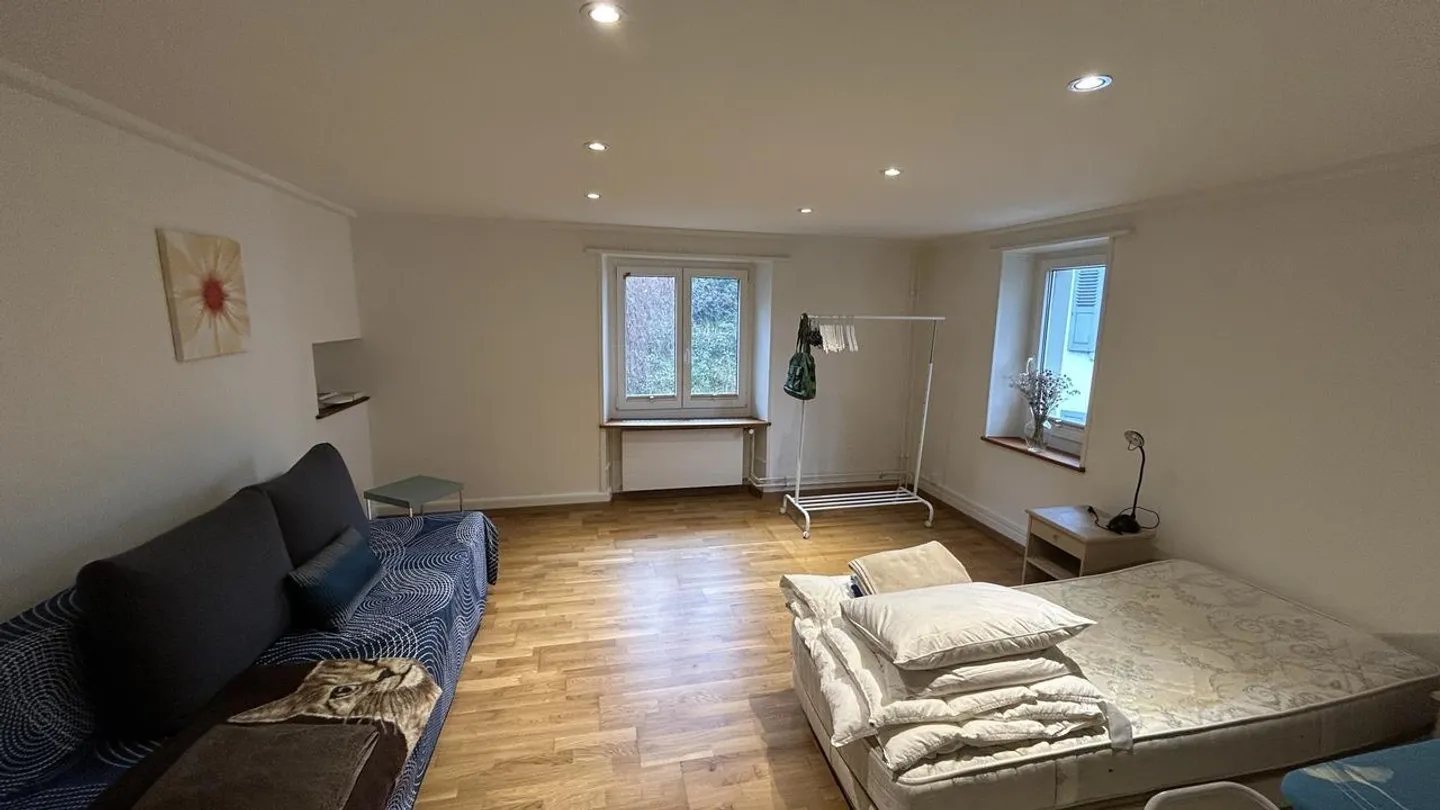 Multigenerational House with Historical Charm in Pratteln - Photo 7 of 10