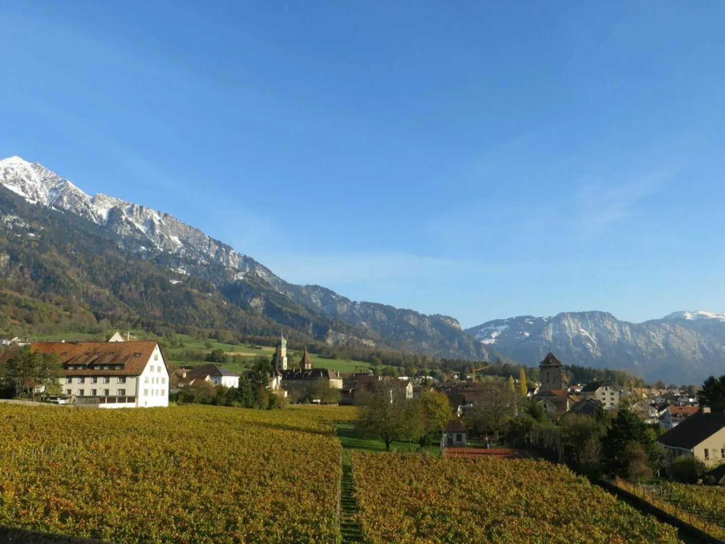 Stunning view amidst the vineyards - Photo 10 of 16