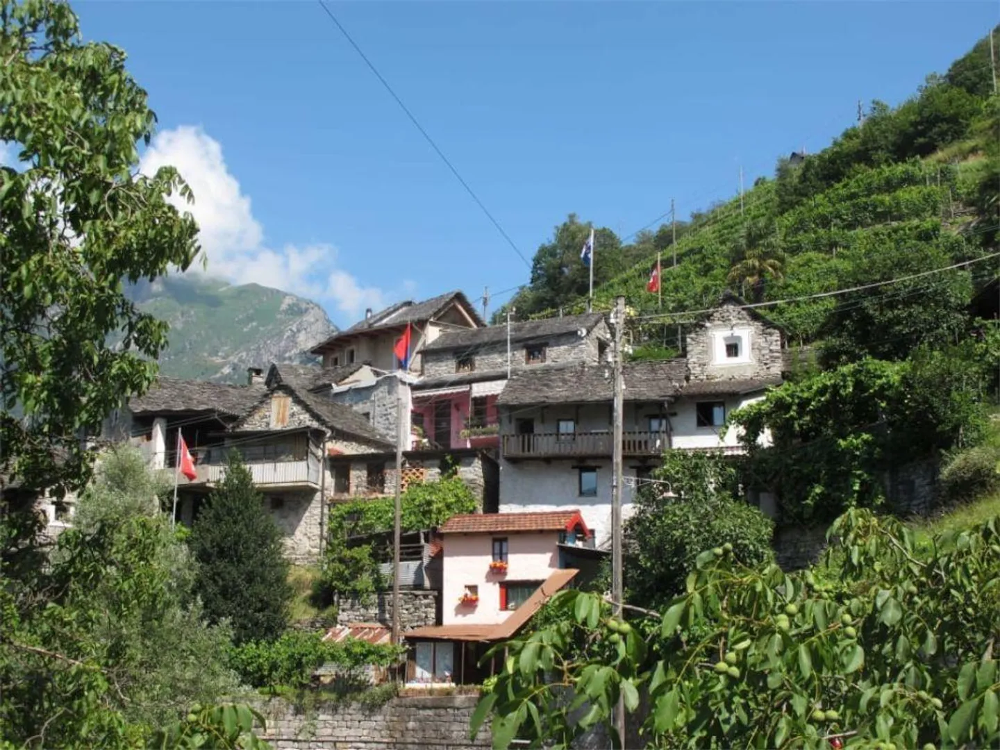 Newly Built 6.5 Room Rustic House - Photo 2 of 13