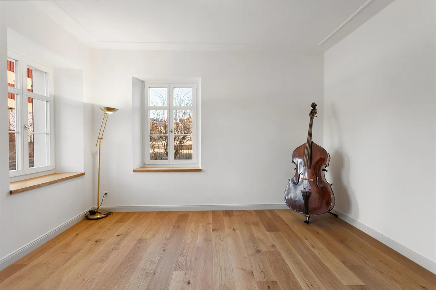 Spacious Single-Family Home with Breathtaking Evening Sun - Photo 10 of 16