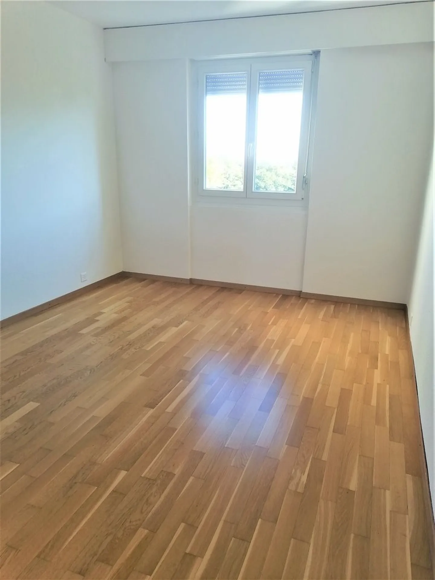 Gradelle - Sopra il parco delle Eaux-Vives - Foto 6 di 11