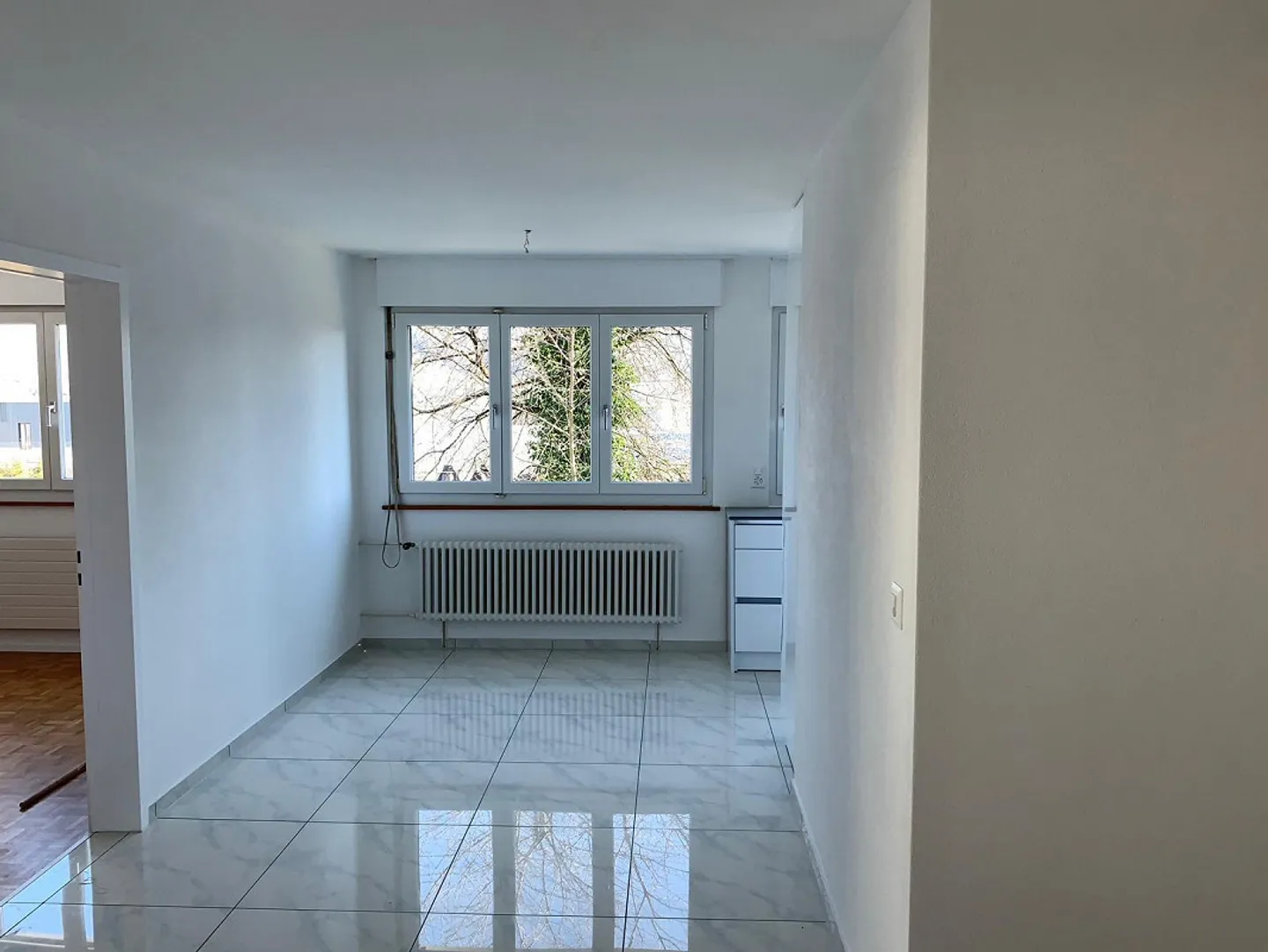 Charming 3.5 Apartment with Best View - Photo 7 of 10