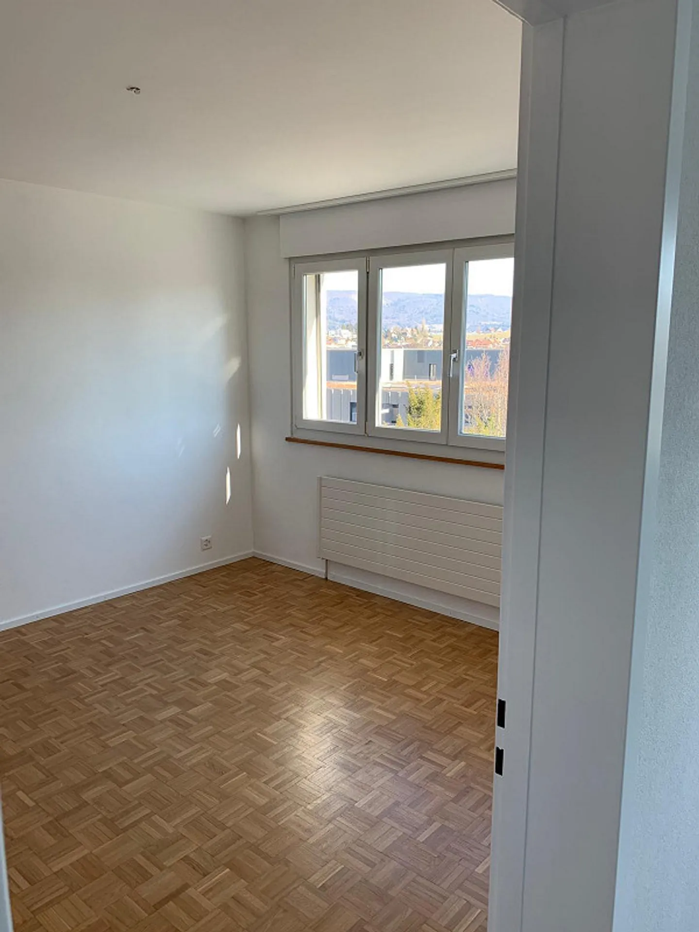 Charming 3.5 Apartment with Best View - Photo 8 of 10