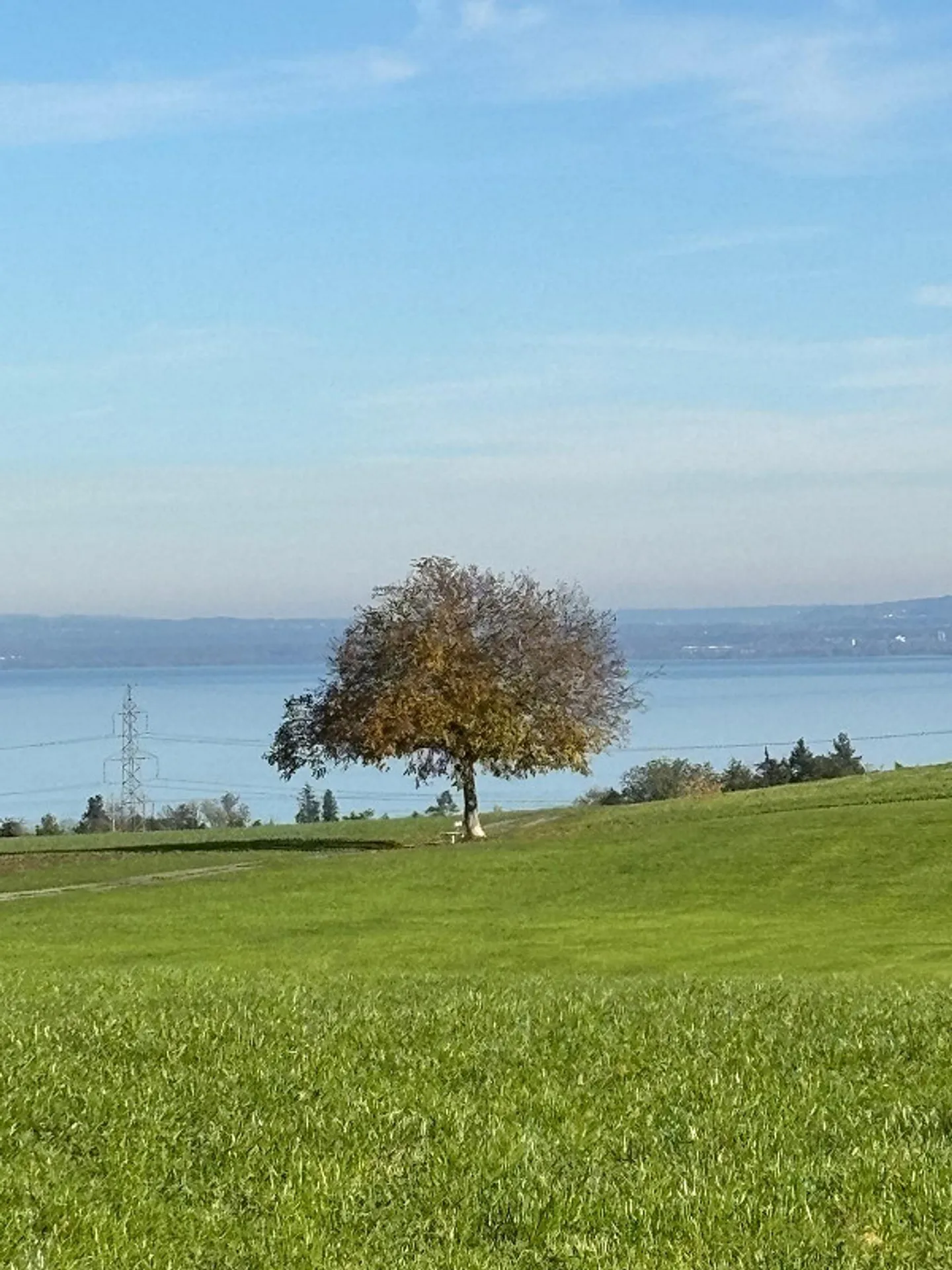 Standard de propriété - Photo 14 sur 17