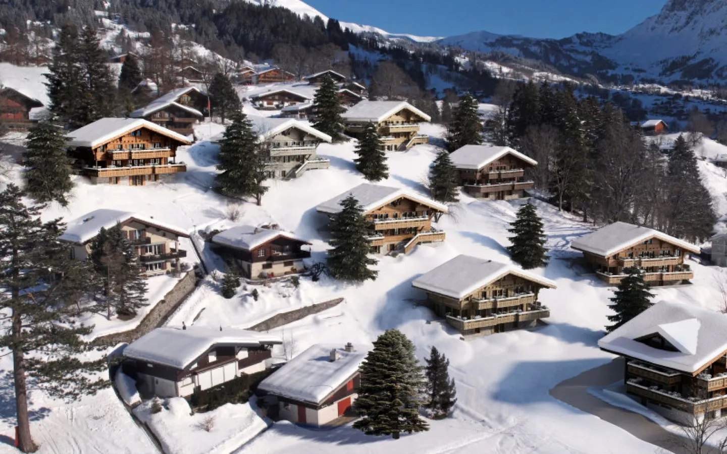 Bergwelt Grindelwald Chalet Beryll - Foto 7 von 7