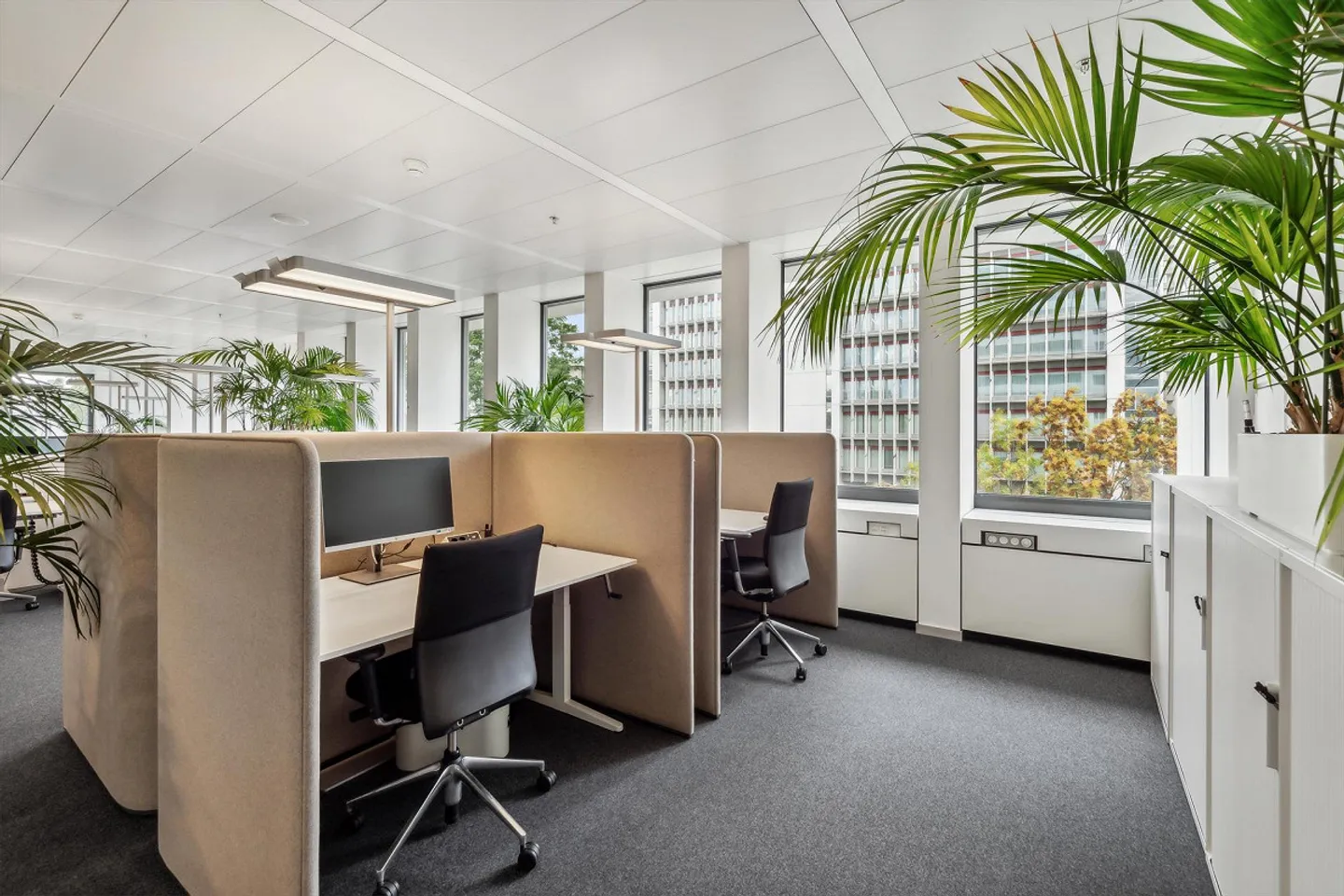 Travailler là où l'innovation est chez soi - Espaces de bureau au Campus Novartis - Photo 2 sur 13