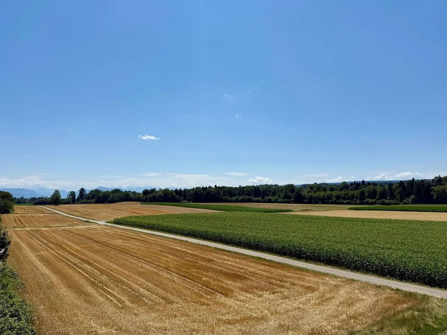 Ampio appartamento di 5,5 locali con terrazza, vista montagna e stufa svedese - Foto 1 di 13