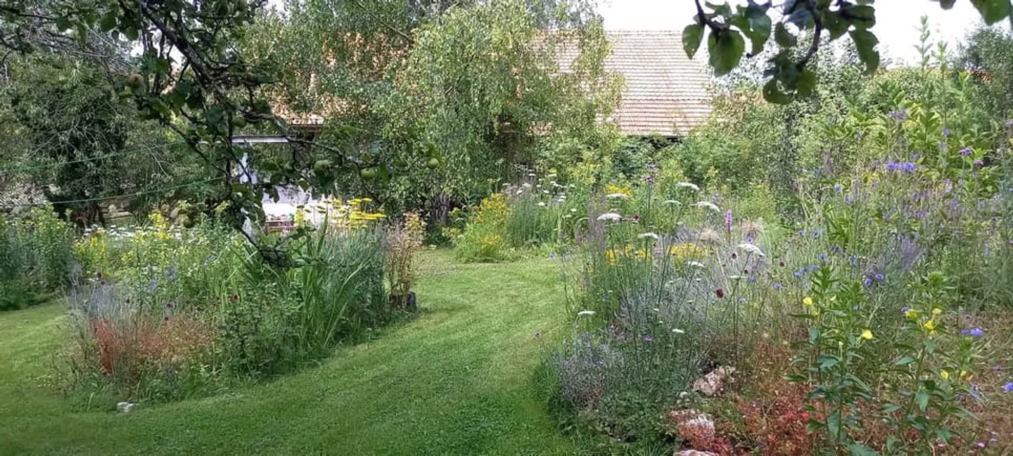 Maison Charmante avec Jardin - Photo 4 sur 13