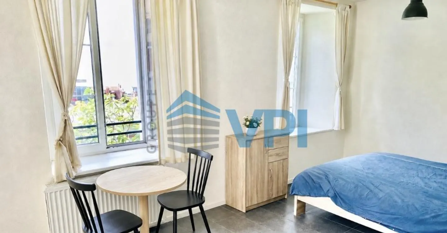 Charming Studio with Lake View - Photo 4 of 7