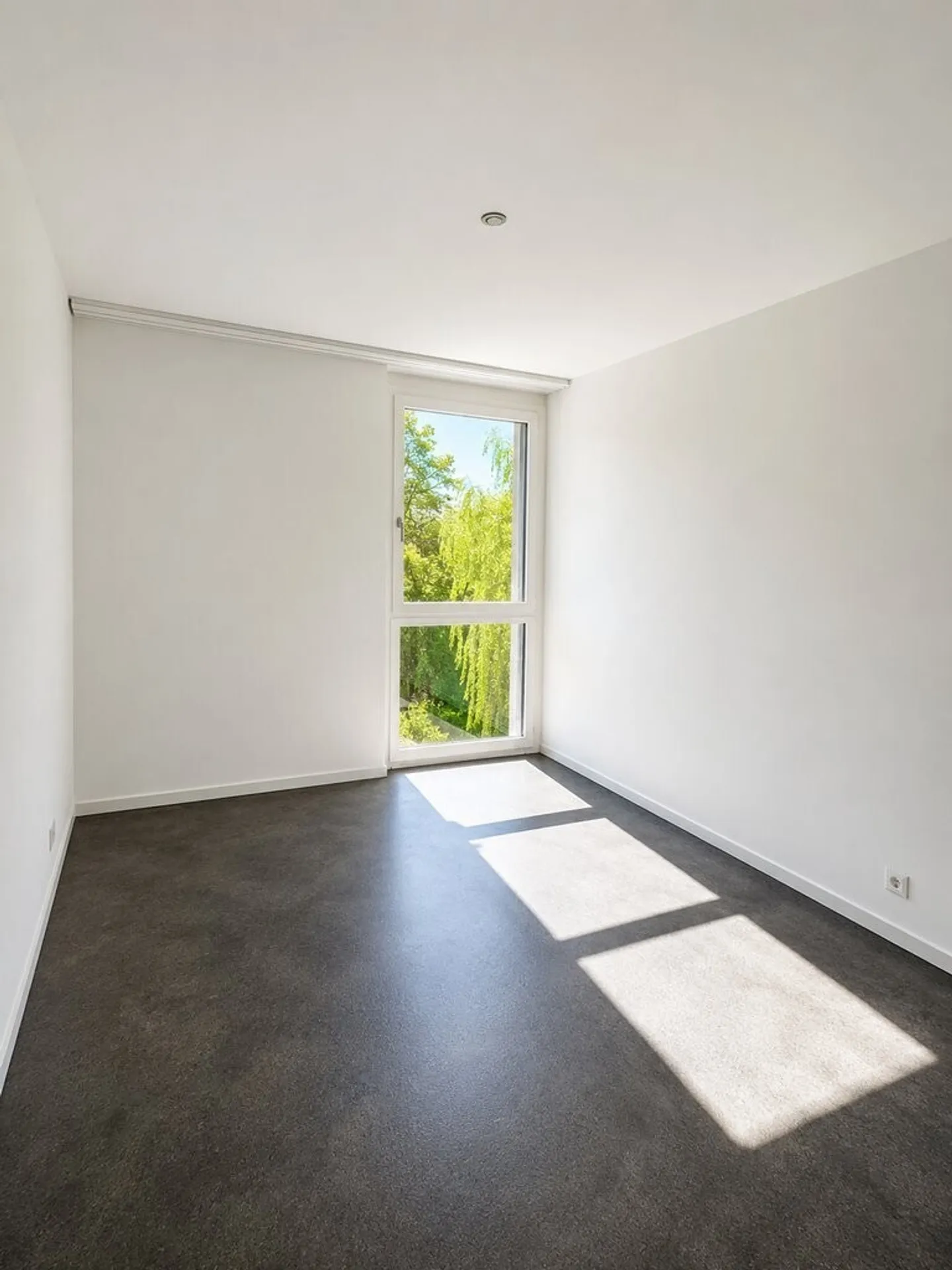 Appartamento di 3,5 locali in affitto - Foto 3 di 7