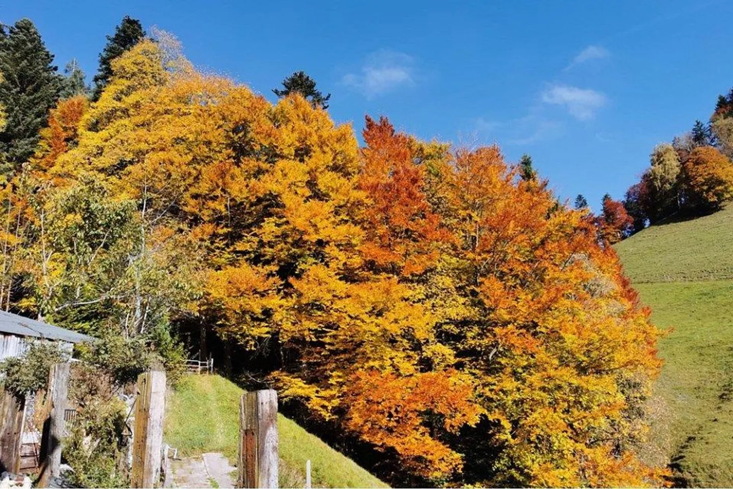 Toggenburg Farmhouse in Unique Secluded Location - with Peace, View, and History - Photo 3 of 13