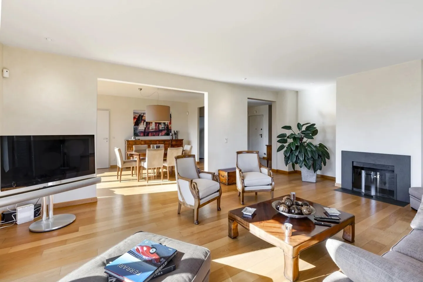 Magnifico appartamento vicino a Nyon - Foto 2 di 10