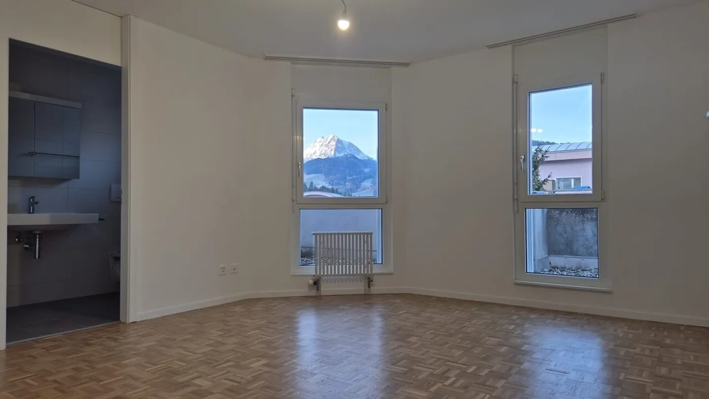 Superb penthouse fully renovated - Photo 1 of 9