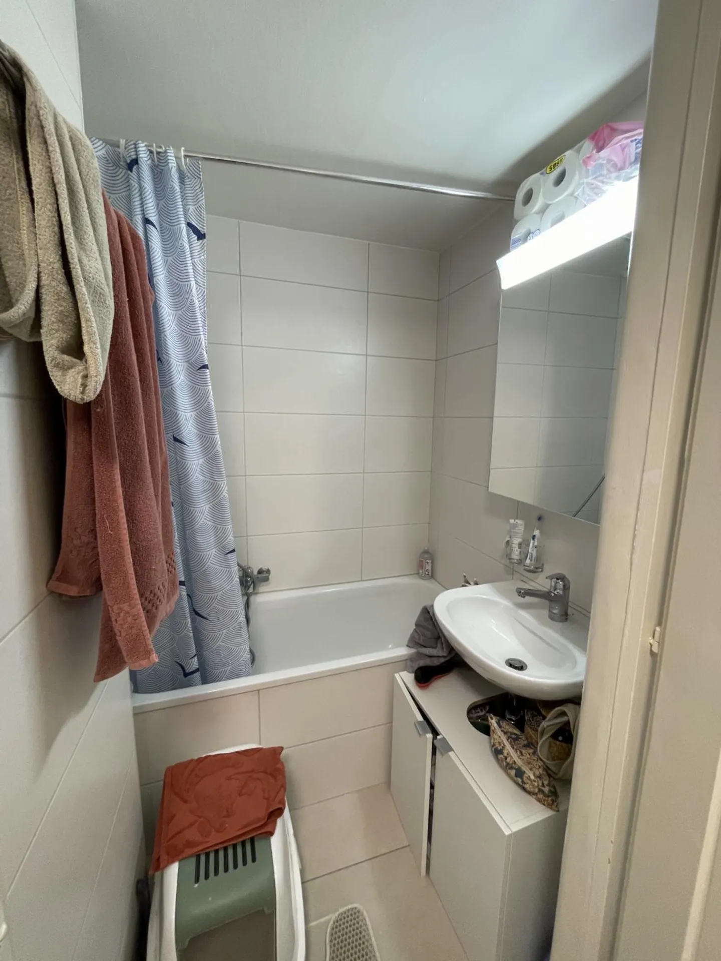 Appartamento 2.5 stanze affascinante - Foto 7 di 7