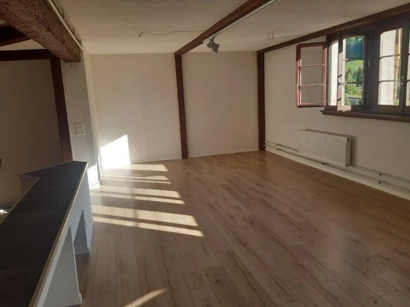 Ampio loft appartamento 1,5 stanze in affitto a Läufelfingen - Foto 4 di 9