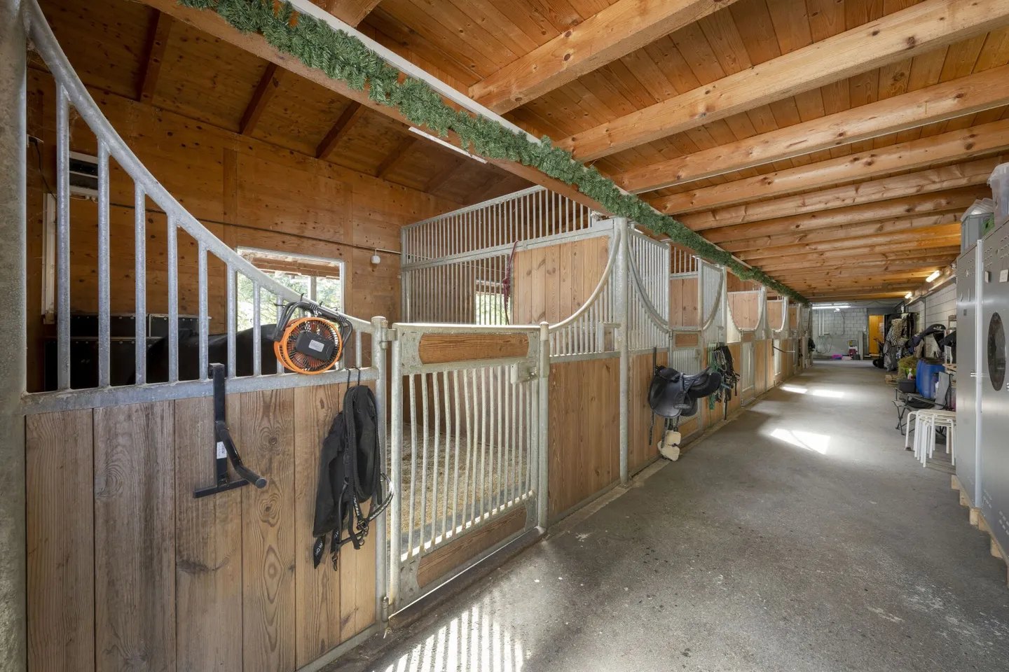 Reitanlage in Mellingen - Foto 11 von 20