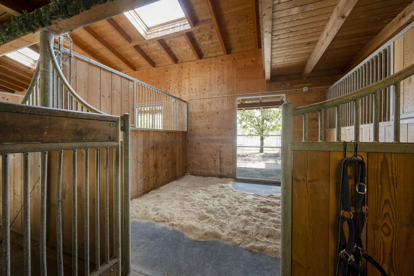 Reitanlage in Mellingen - Foto 12 von 20