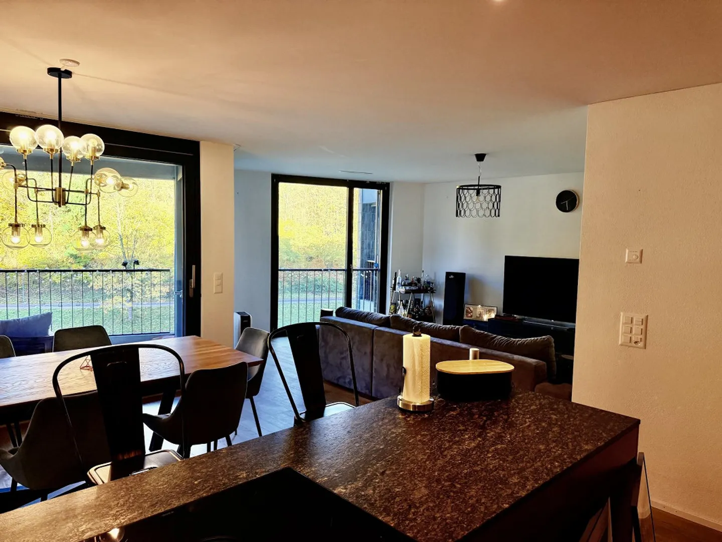 Modern wohnen mit Blick auf Sihl und Uetliberg – zentral & grün - Foto 3 von 19