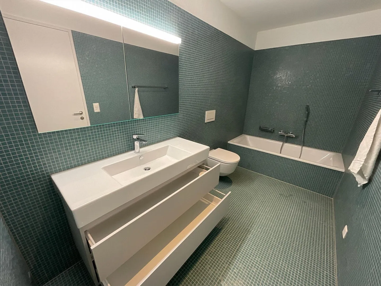 Modern wohnen mit Blick auf Sihl und Uetliberg – zentral & grün - Foto 15 von 19