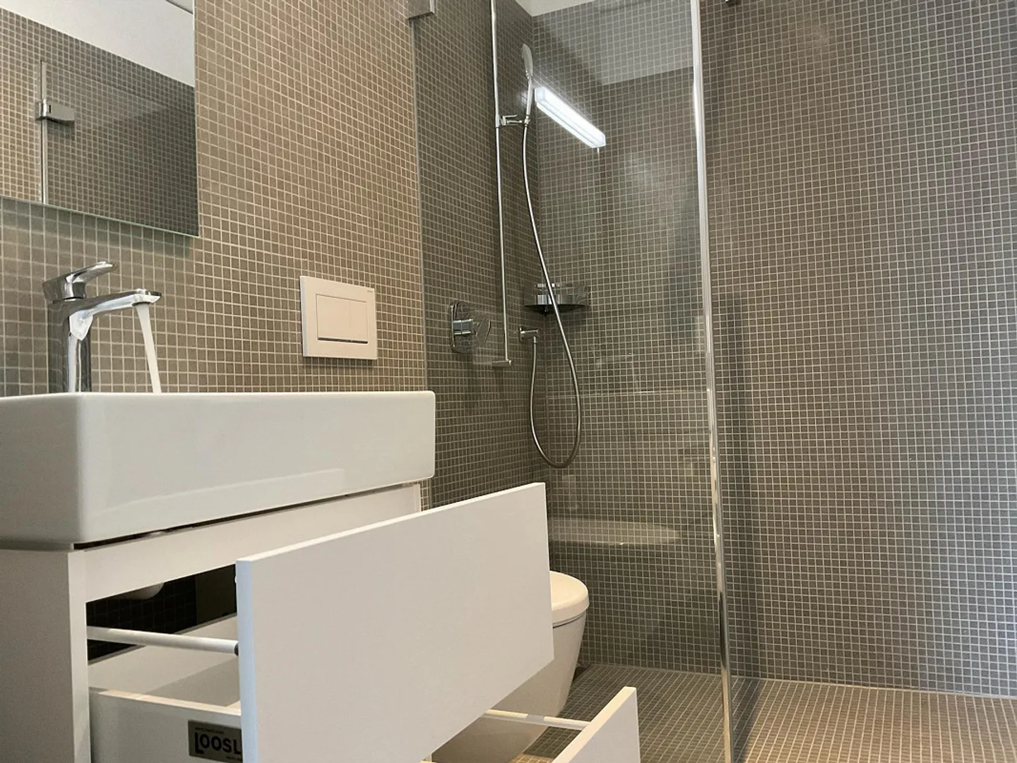 Modern wohnen mit Blick auf Sihl und Uetliberg – zentral & grün - Foto 16 von 19