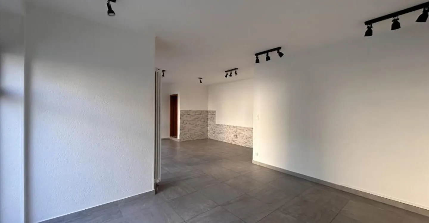 Commercial Space in Bellinzona - Photo 3 of 5