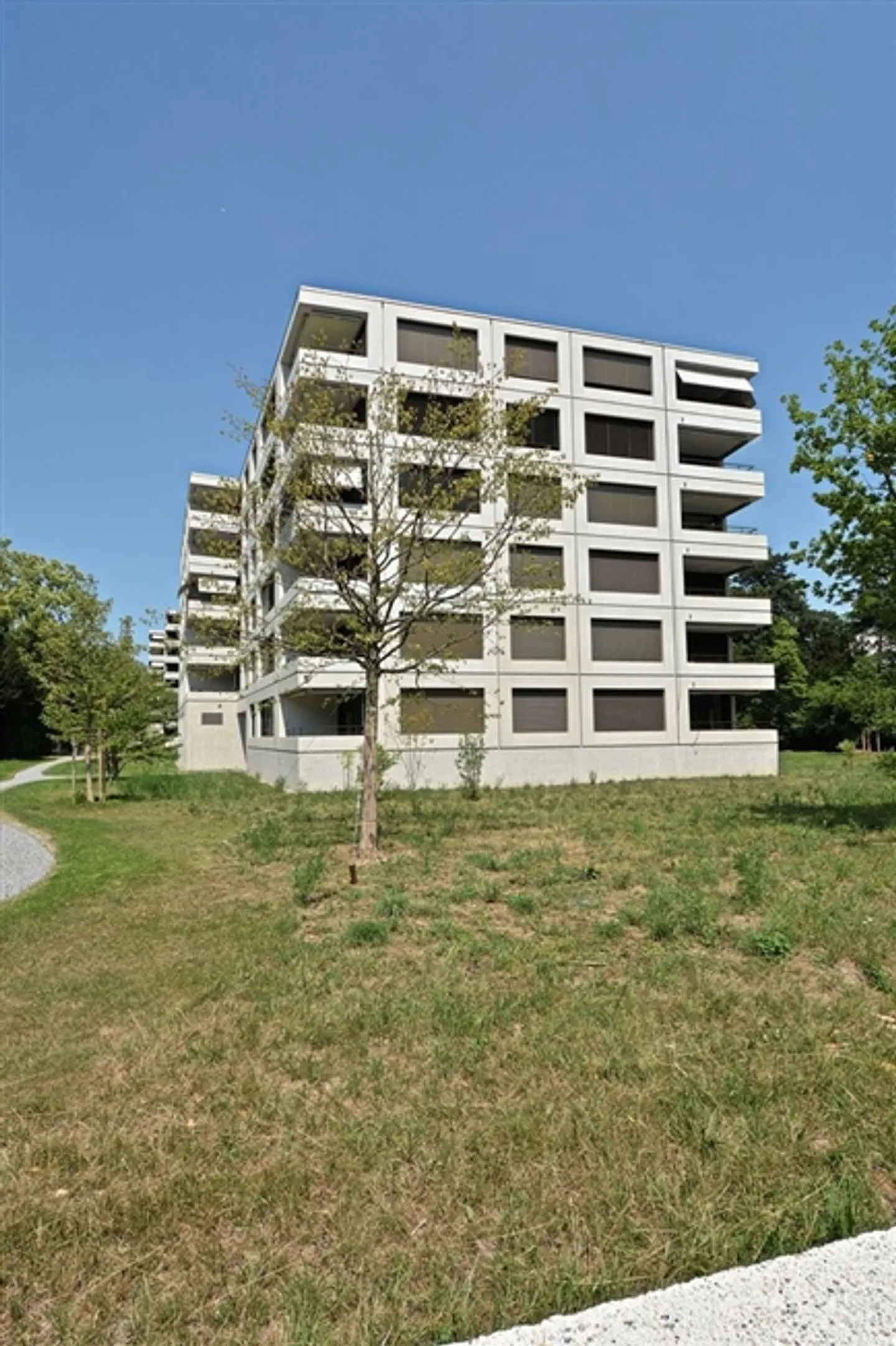 Appartamento in affitto - Foto 2 di 12