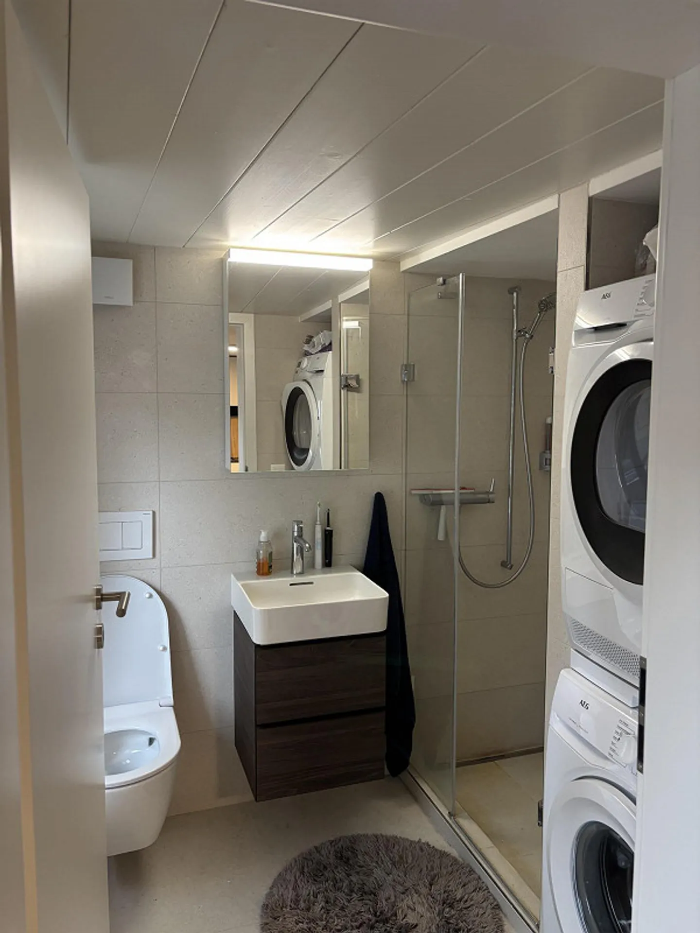 2-Zimmer Wohnung am Zürichsee in Wädenswil - Foto 5 von 6