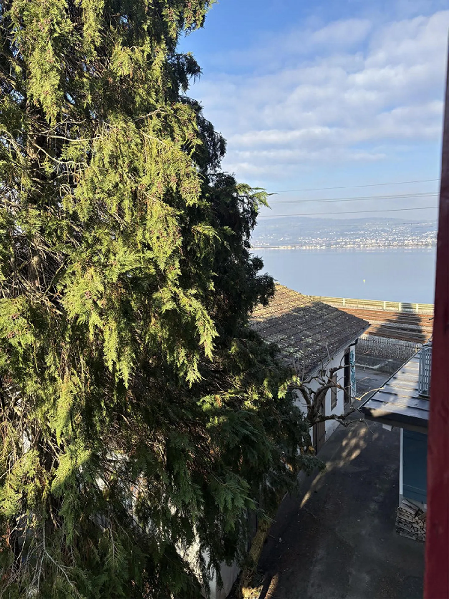 2-Zimmer Wohnung am Zürichsee in Wädenswil - Foto 6 von 6