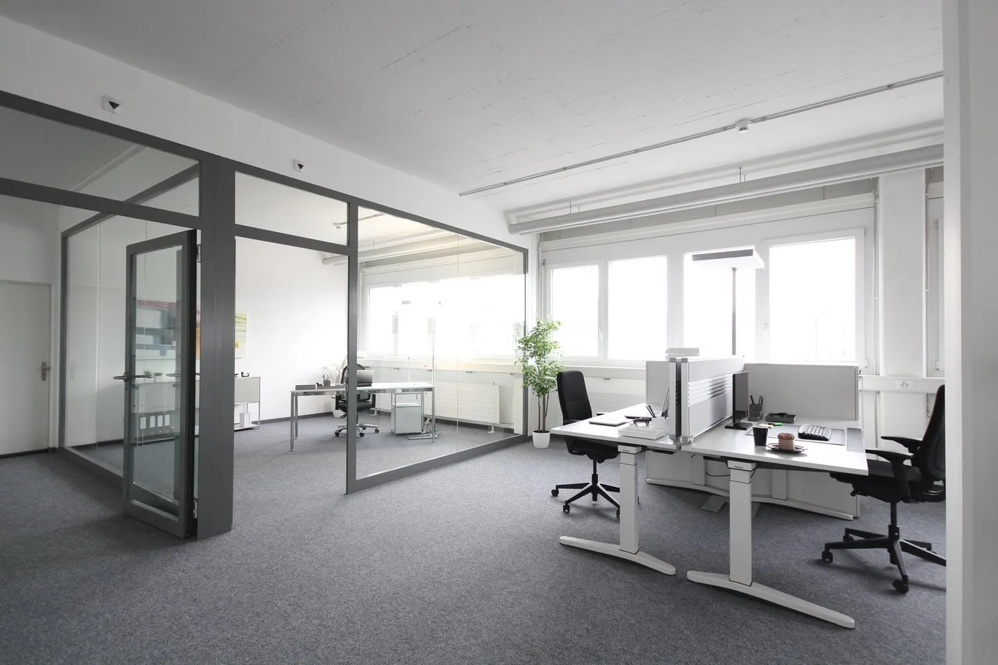 Espace commercial à Birsfelden - Photo 4 sur 8