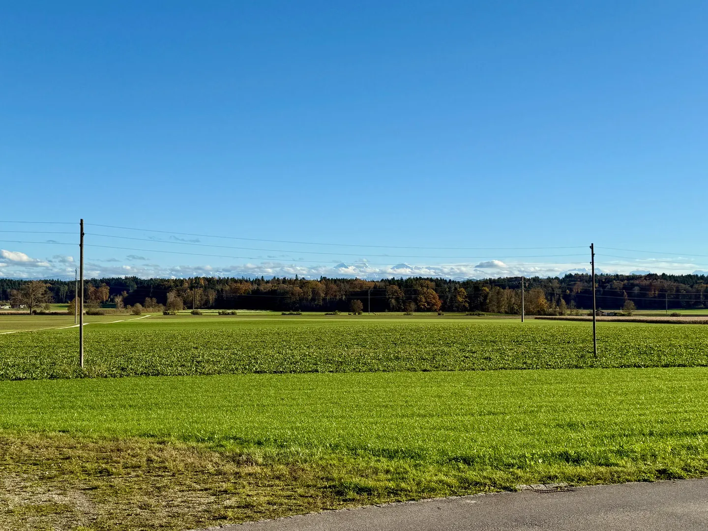Modernes Wohnen im Buechibärg - Foto 5 von 11