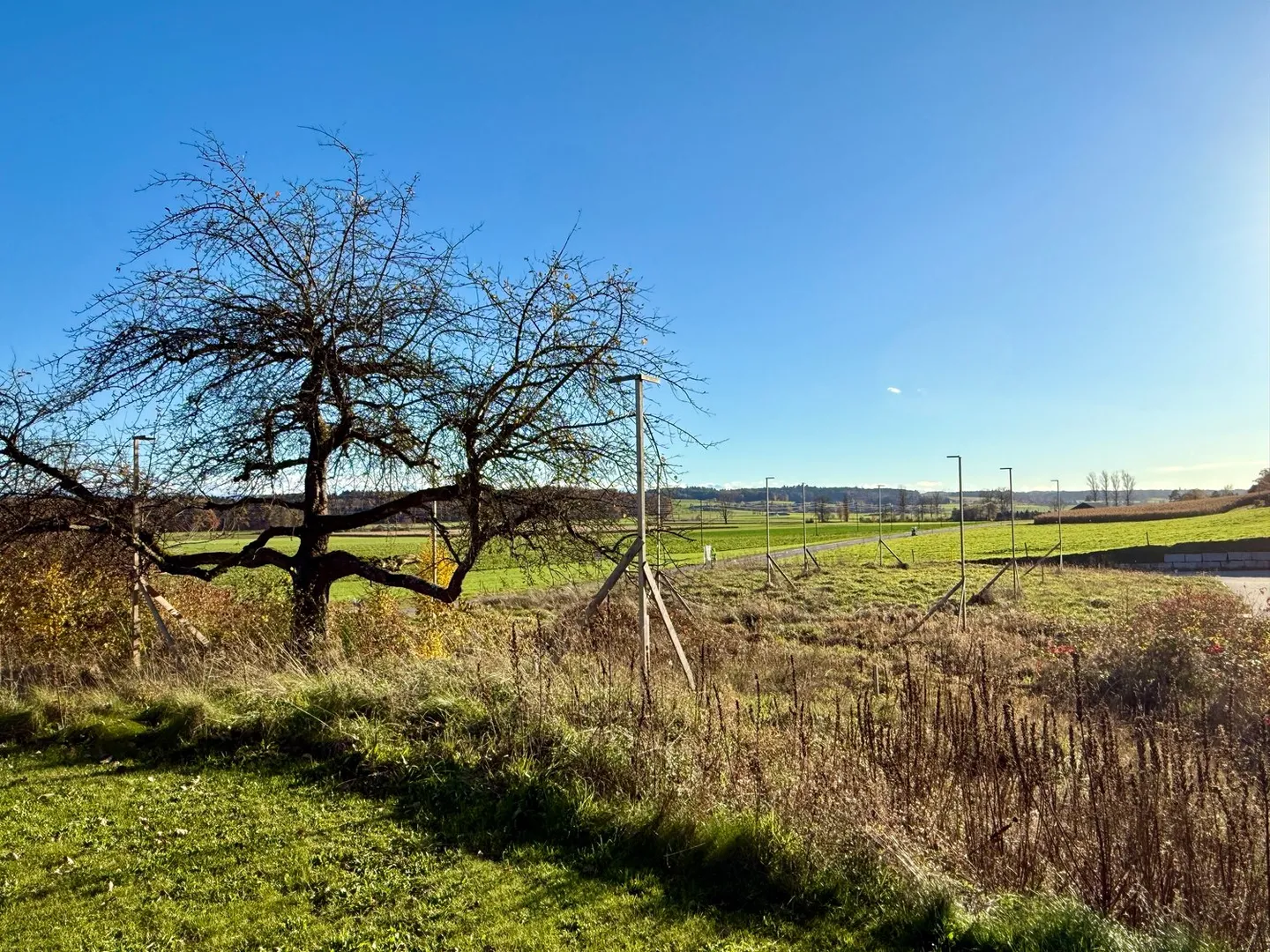 Modernes Wohnen im Buechibärg - Foto 7 von 11