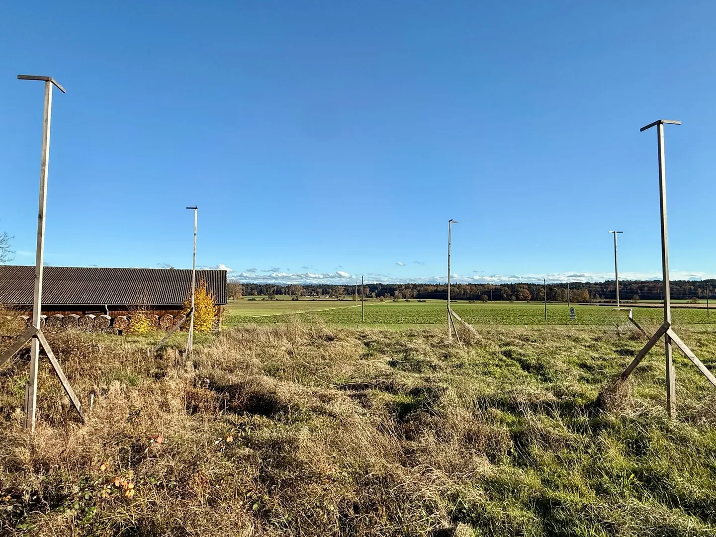 Modernes Wohnen im Buechibärg - Foto 6 von 11